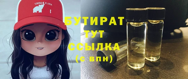 молекула духа Снежногорск