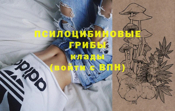 трава Алексин